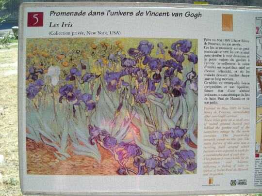 Van Gogh - Les Iris