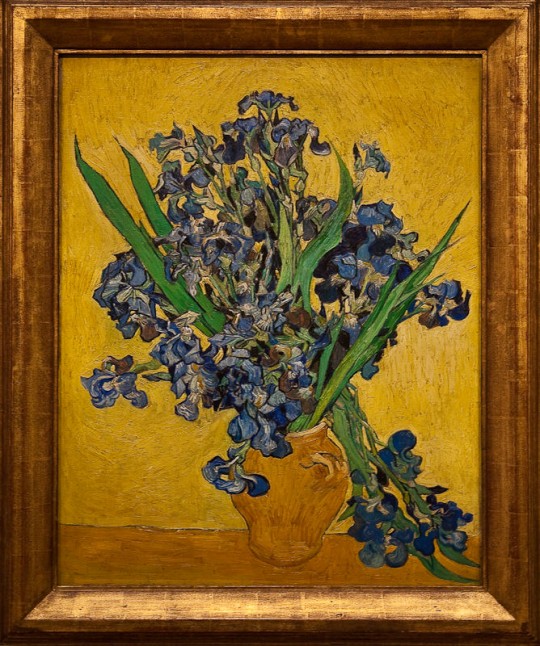 Vase avec iris - Saint-Rémy - Vincent Van Gogh