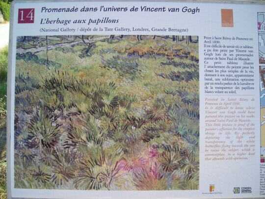 Van Gogh - L’herbage aux papillons